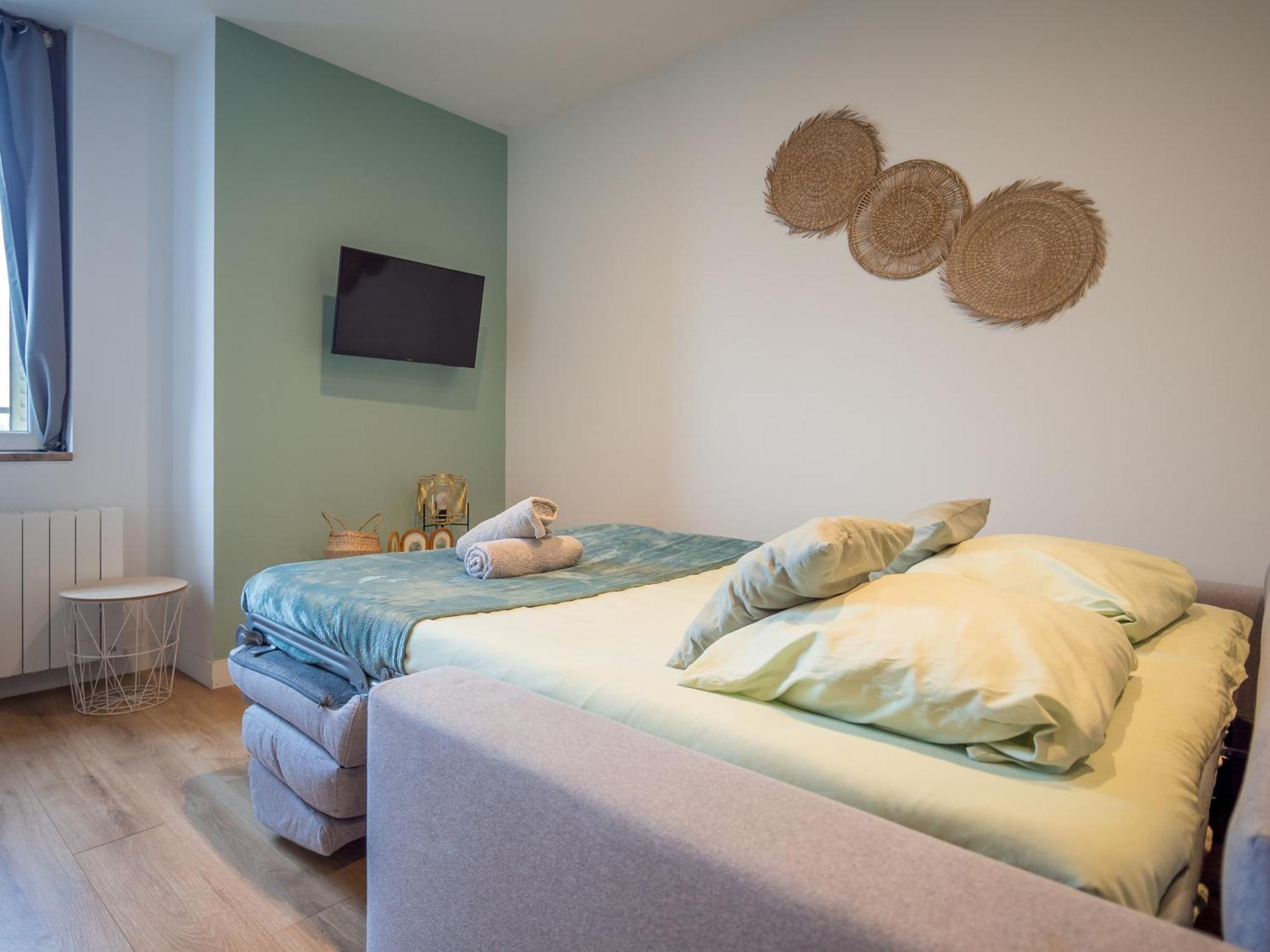 Le Cosy Twin Apartment Villefranche-sur-Saone Exterior photo